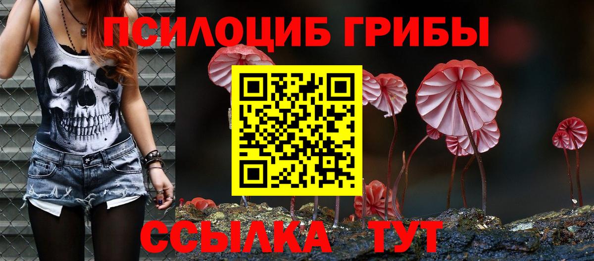 Галлюциногенные грибы Psilocybe Ейск